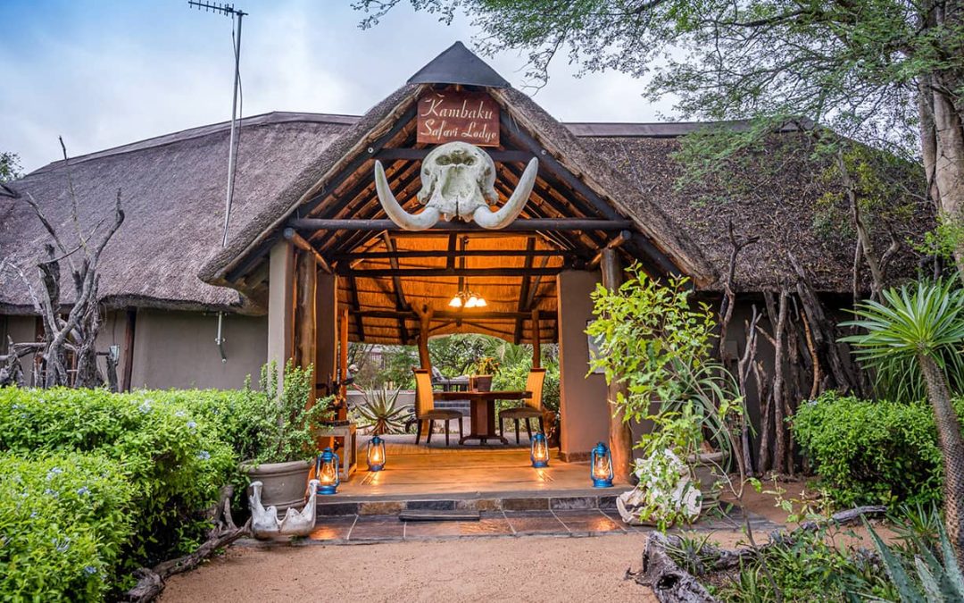 Kambaku Safari Lodge